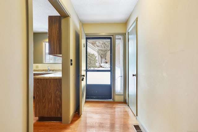 entryway with plenty of natural light and light wood-type flooring