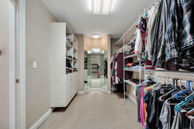 spacious closet featuring carpet flooring