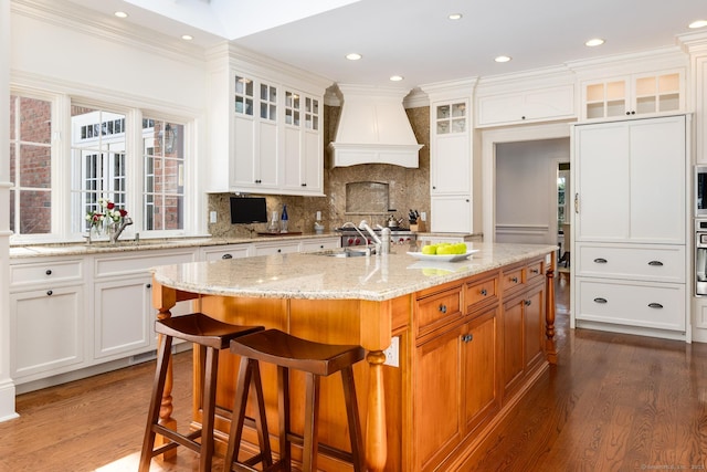 kitchen with backsplash, premium range hood, dark wood-style flooring, and a sink