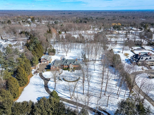 snowy aerial view with a forest view