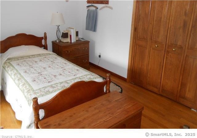 bedroom featuring wood-type flooring and a closet