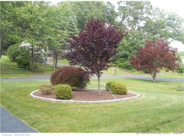 view of community featuring a yard