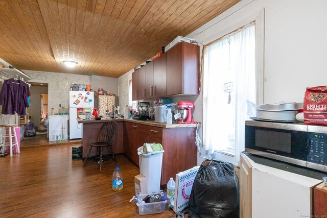 175 Main St, Winchester, CT 06098 - kitchen featuring white refrigerator, wood ceiling, plenty of natural light, and wood-type flooring