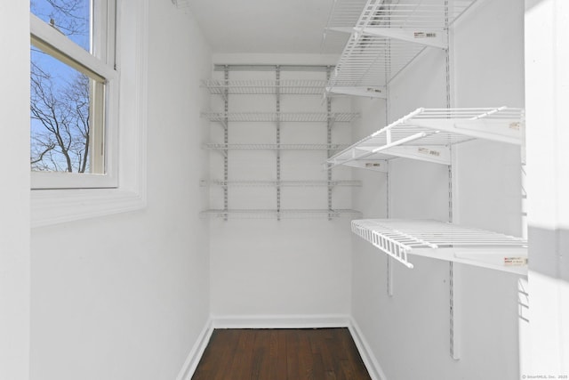 spacious closet featuring dark wood-style flooring