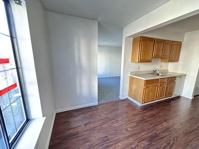 kitchen featuring dishwasher, sink, and dark hardwood / wood-style floors