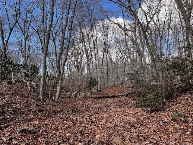 43-2 Saunders Hollow Rd, Old Lyme CT, 06371 land for sale