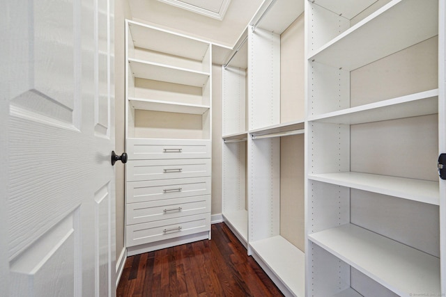 walk in closet with dark hardwood / wood-style floors