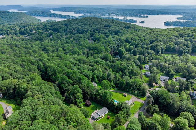48 Bear Mountain Rd, Danbury, CT 06811 - aerial view of a forest and a nearby body of water