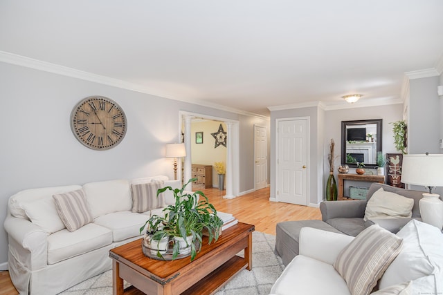 48 Bear Mountain Rd, Danbury, CT 06811 - living room featuring crown molding, light wood-type flooring, and a fireplace