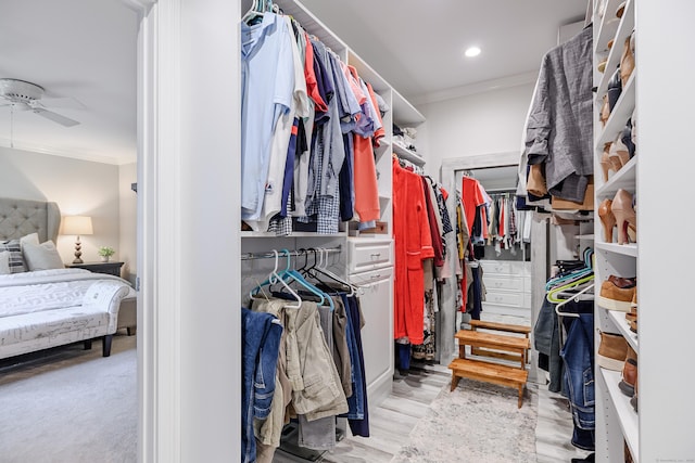 48 Bear Mountain Rd, Danbury, CT 06811 - spacious closet with ceiling fan and light wood-style floors