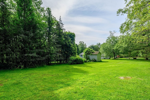 48 Bear Mountain Rd, Danbury, CT 06811 - view of green lawn