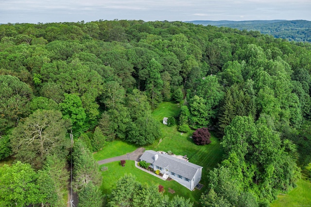 48 Bear Mountain Rd, Danbury, CT 06811 - view of property location featuring a heavily wooded area