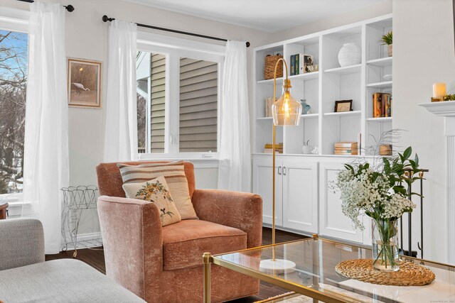 sitting room featuring dark wood-type flooring