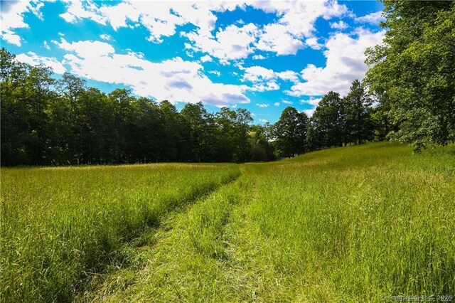 4569 Rte 199, Millerton, NY 12546 - photo 19