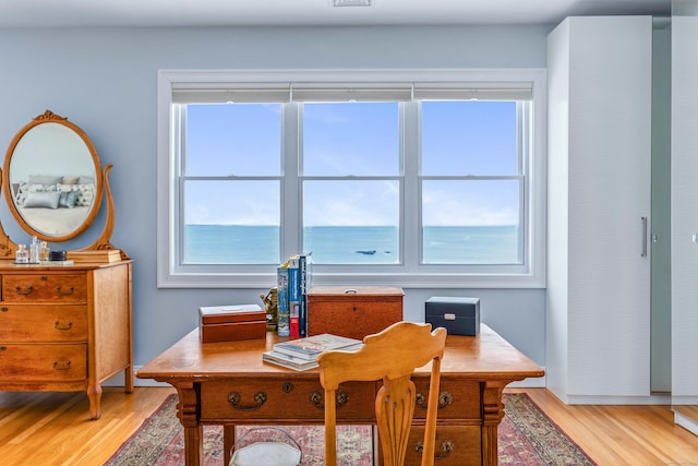 office space featuring a wealth of natural light and light hardwood / wood-style floors