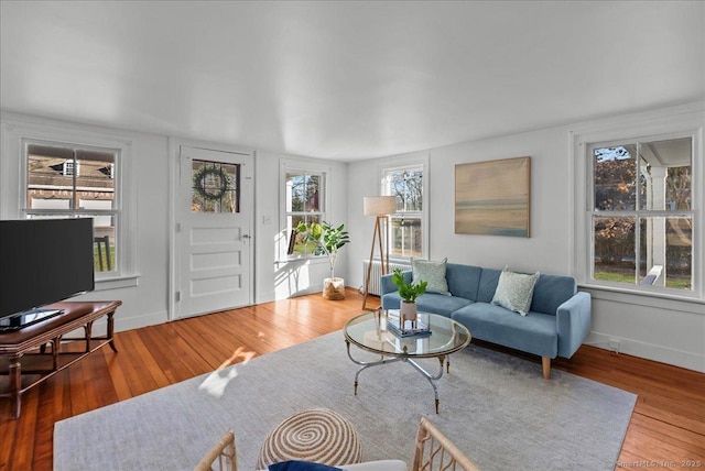 living room featuring baseboards and wood-type flooring