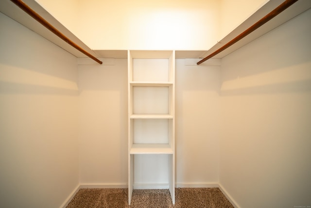 walk in closet featuring carpet floors