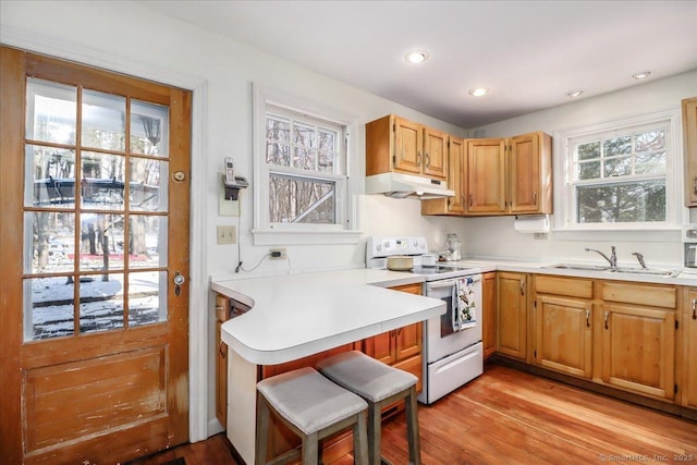 kitchen with light wood-type flooring, sink, and white range with electric stovetop