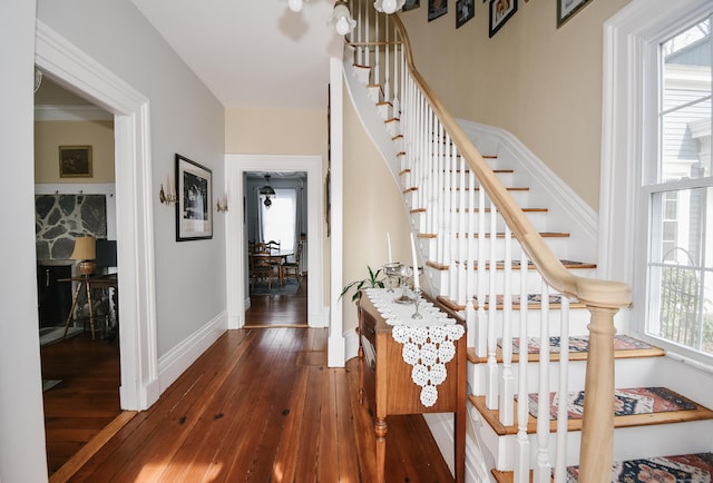 stairway with wood-type flooring