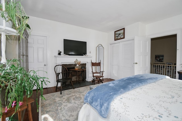 bedroom featuring dark wood-type flooring and a closet