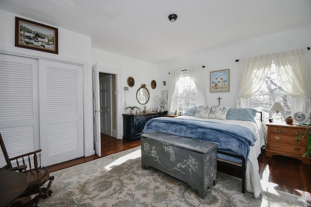 bedroom featuring dark wood-type flooring and a closet