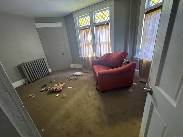 living area featuring baseboards, a textured ceiling, and radiator heating unit