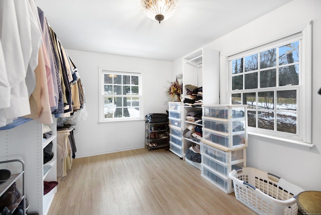 spacious closet with light wood-type flooring