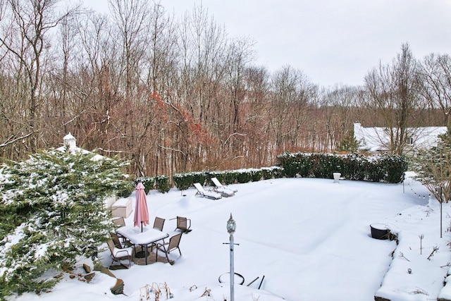 view of yard covered in snow