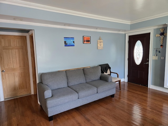 living room featuring crown molding and dark wood-type flooring