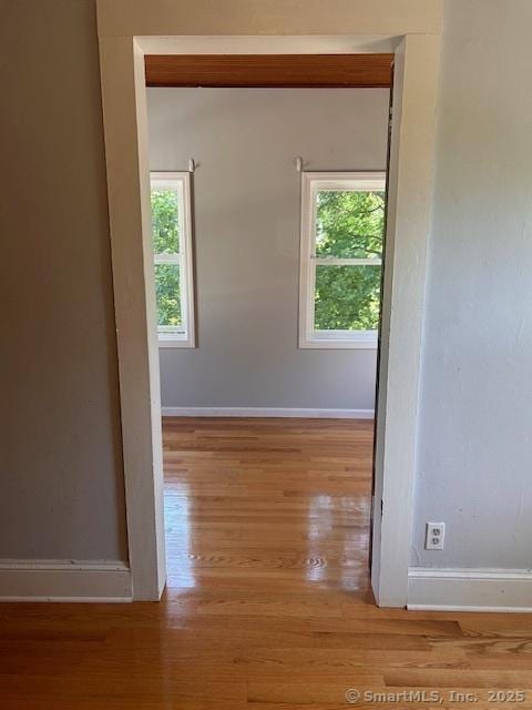 unfurnished room featuring light hardwood / wood-style flooring