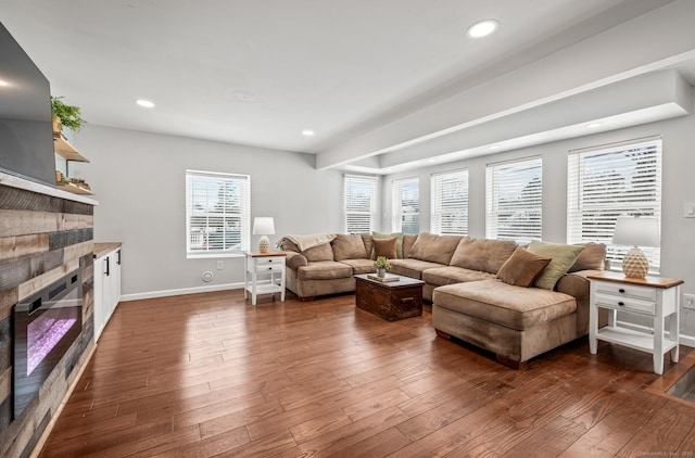 living room featuring dark hardwood / wood-style flooring