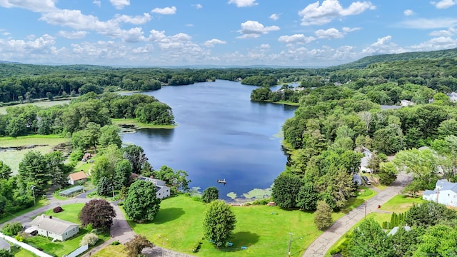 1379 Old N Colony Rd, Meriden, CT 06450 - bird's eye view of a forest and a large body of water