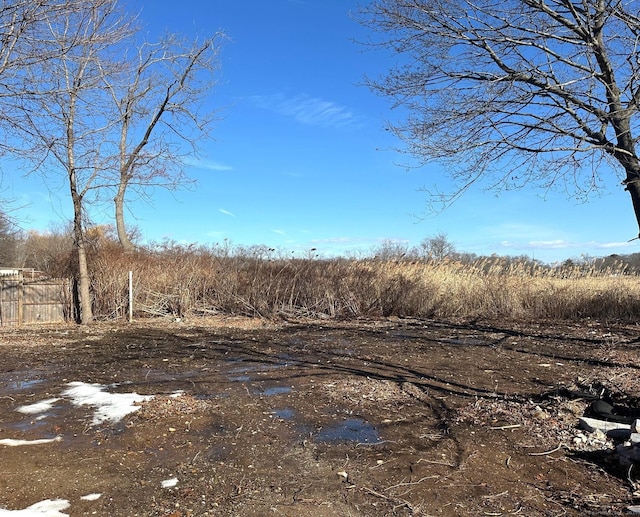 view of local wilderness