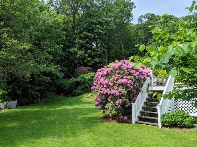 view of yard featuring stairs