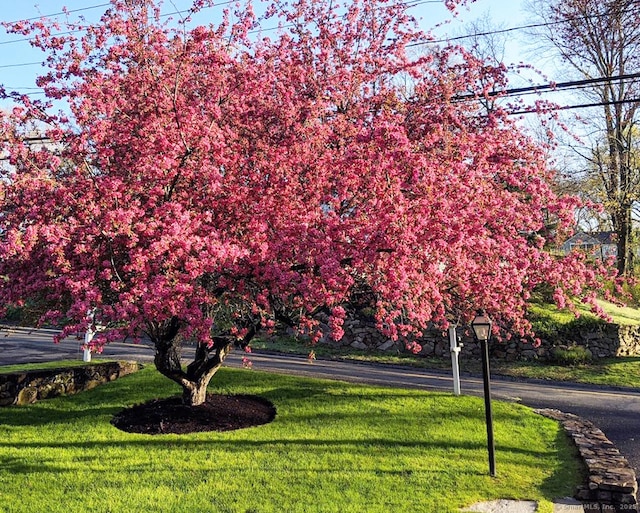 view of property's community featuring a lawn