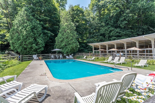 community pool featuring a patio area and fence