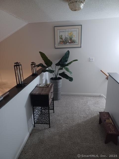 interior space with lofted ceiling and a textured ceiling