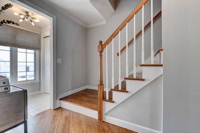 entrance foyer featuring crown molding and light hardwood / wood-style floors