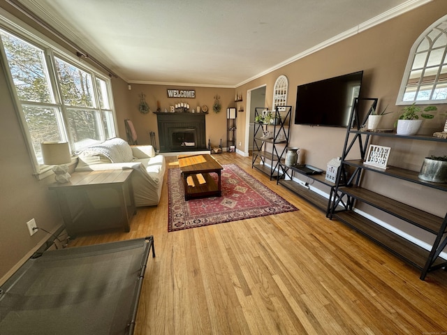 living room with plenty of natural light, ornamental molding, and light wood-type flooring