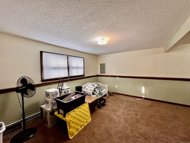 rec room with carpet flooring, electric panel, and a textured ceiling