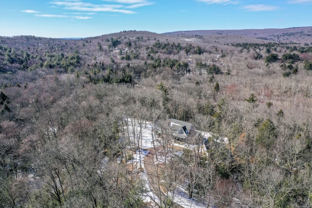 birds eye view of property with a mountain view and a forest view