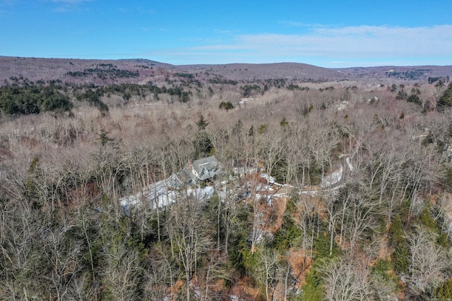 drone / aerial view with a mountain view and a view of trees