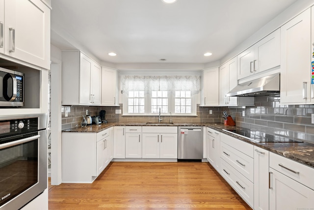 kitchen featuring stainless steel appliances, a sink, light wood-style flooring, and under cabinet range hood