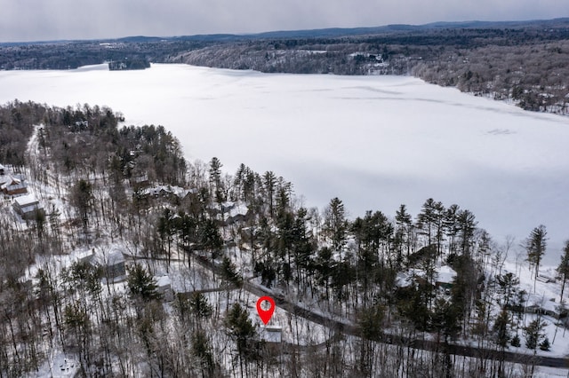 snowy aerial view with a forest view