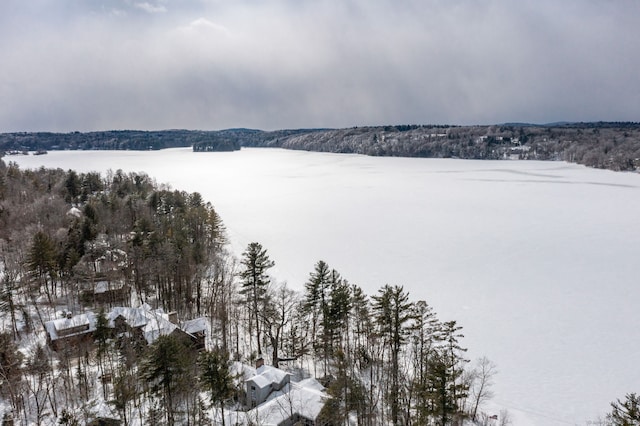 snowy aerial view featuring a view of trees