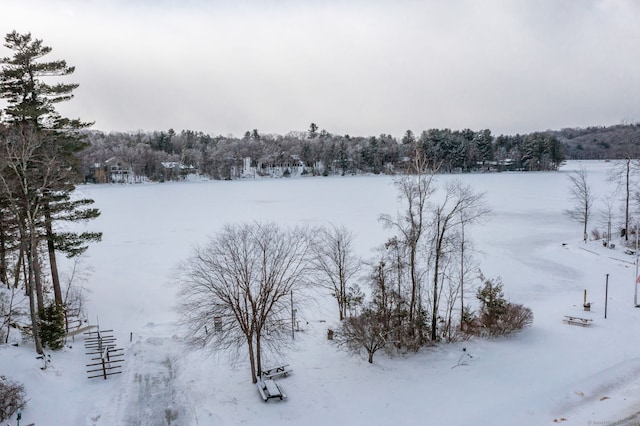 view of yard layered in snow