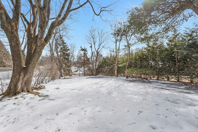 view of yard covered in snow