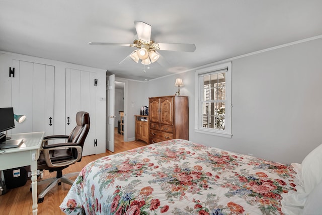 bedroom featuring ornamental molding, two closets, ceiling fan, and light hardwood / wood-style floors