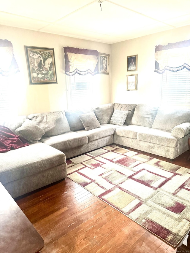 living room featuring hardwood / wood-style floors