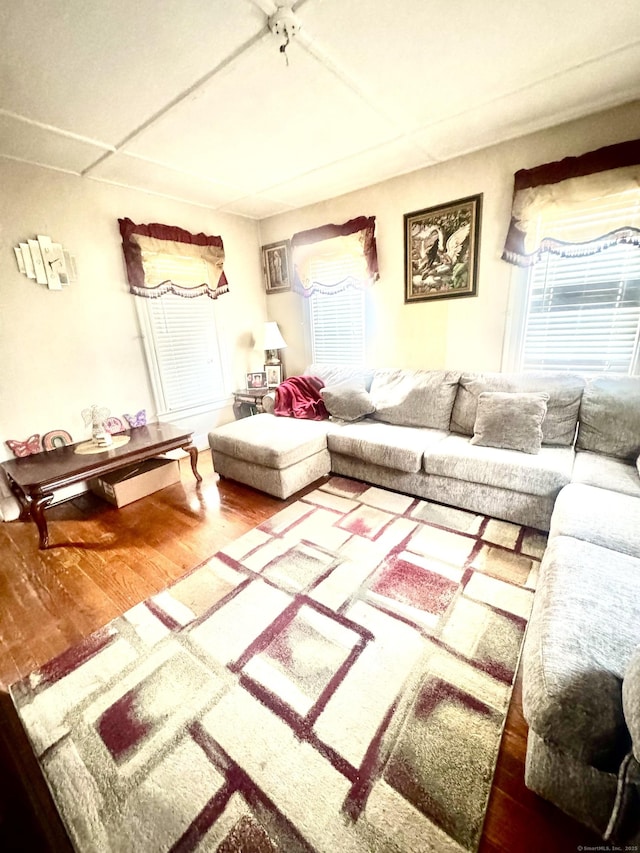 living room featuring wood finished floors